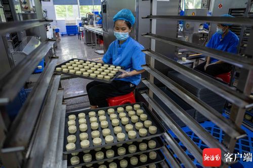 中秋月餅飄香忙 ?？谑称窂S開足馬力備戰佳節