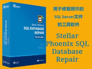 信息系統(tǒng)集成項(xiàng)目管理軟件在阿里云云市場(chǎng)的應(yīng)用與產(chǎn)品解析
